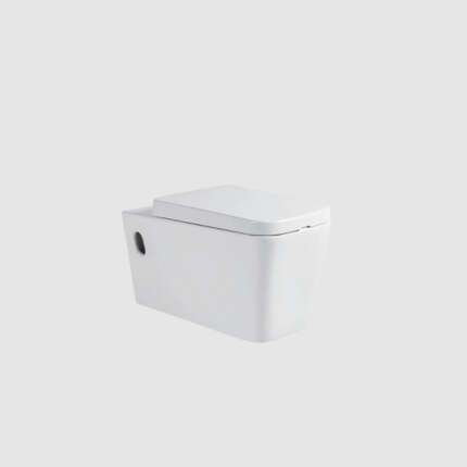 كرسي معلق مع غطاء من SILVER