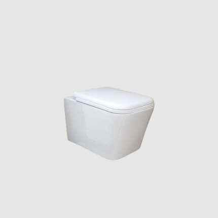 كرسي معلق مع غطاء من SILVER