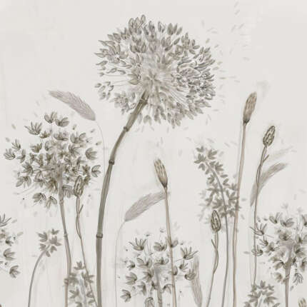 ورق جدران EDITION