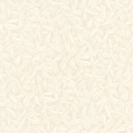 ورق جدران EDITION